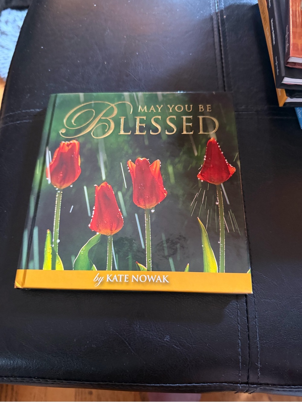 May You Be Blessed by Kate Nowak - Red Tulip Coffee Table Book
